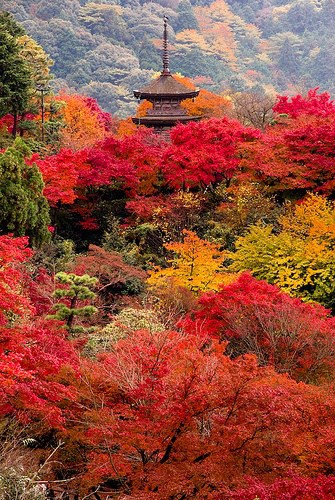 autumn around the world