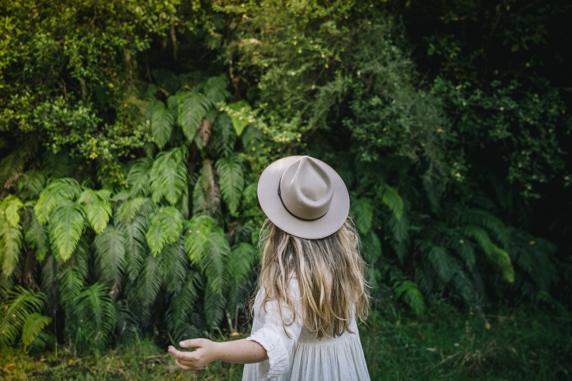 houseplants and design book