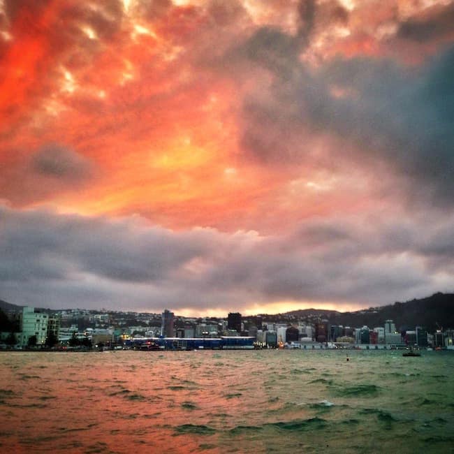 New Zealand expat New Zealand expat