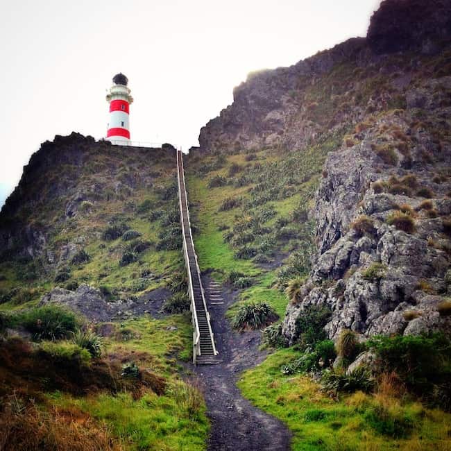 New Zealand expat New Zealand expat