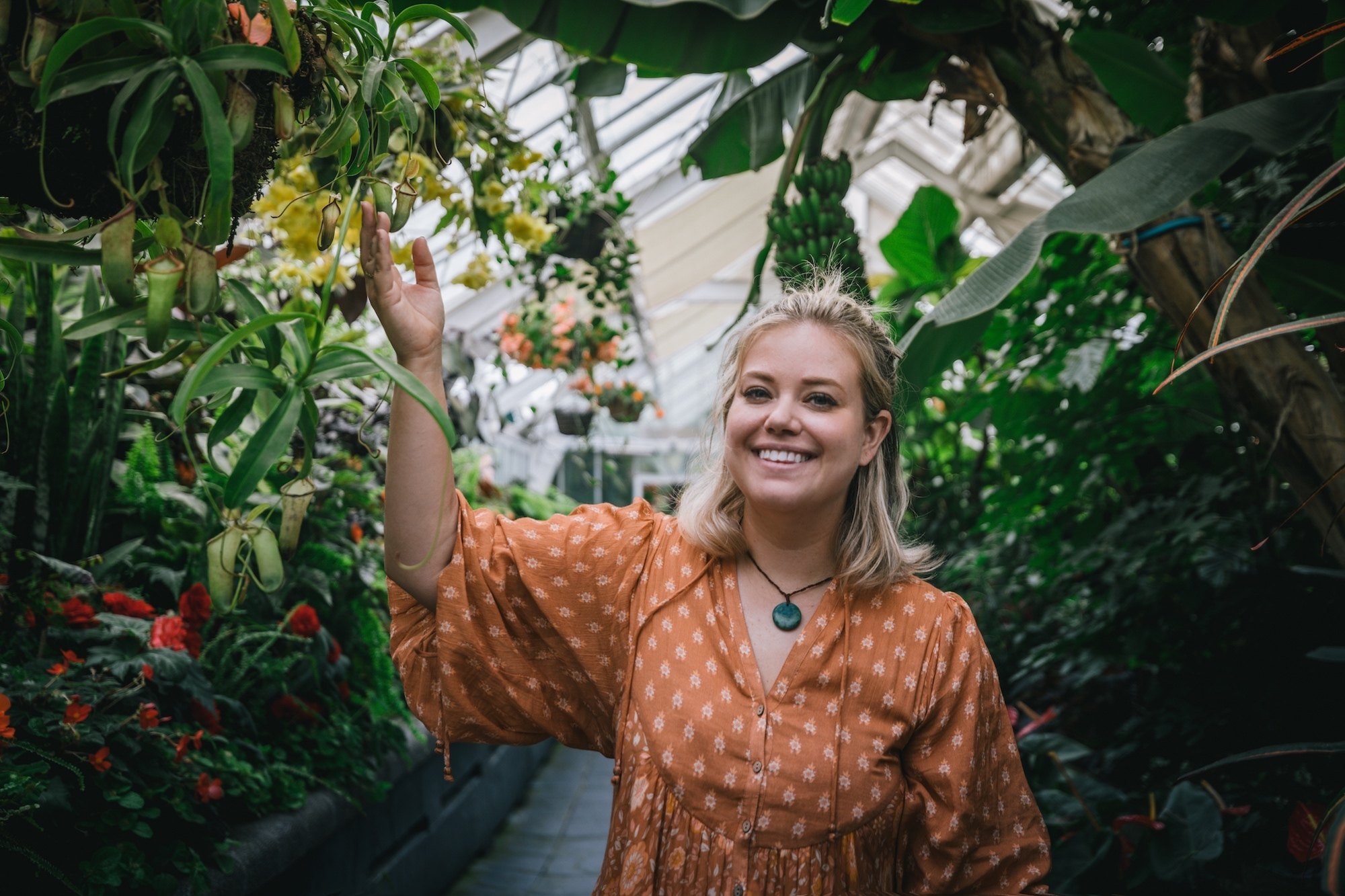 houseplants and design book