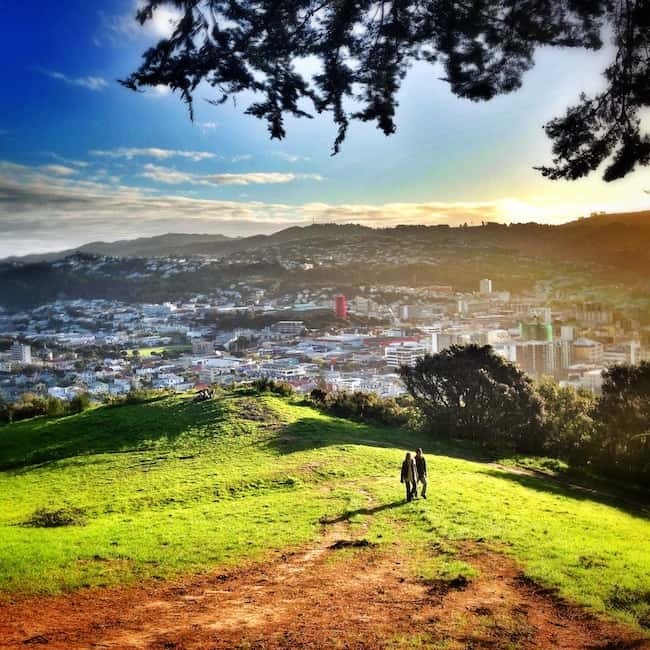 New Zealand expat New Zealand expat