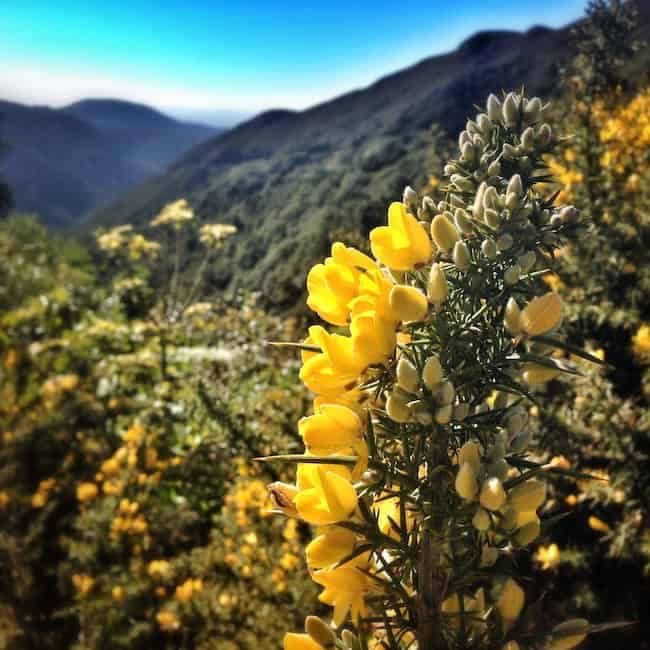 New Zealand expat New Zealand expat