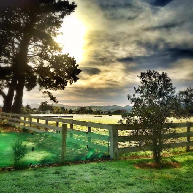 New Zealand expat New Zealand expat