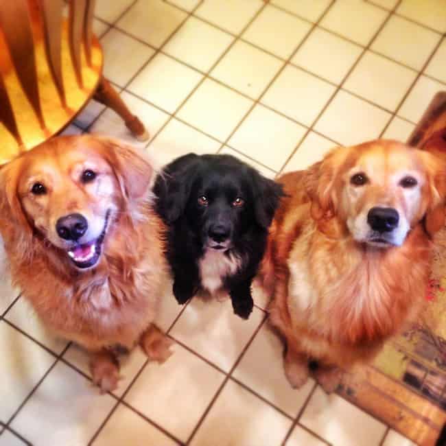 Instagram Europe summer Instagram Europe summer