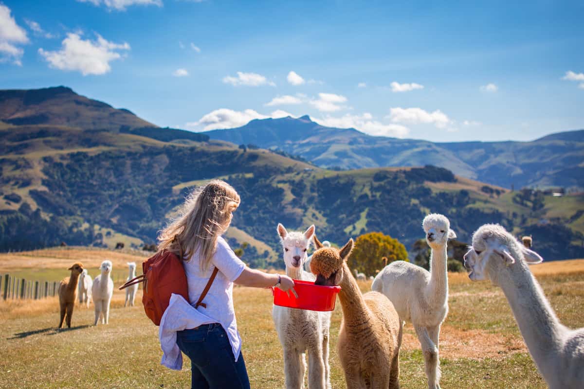 moving to new zealand