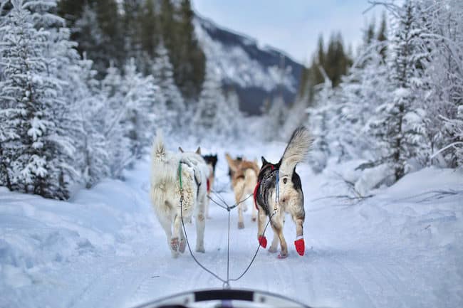 visit alberta canada