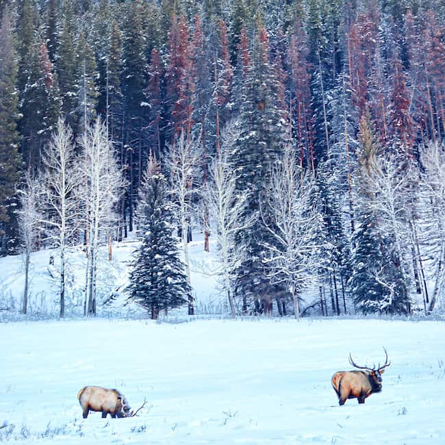 Photo Jan 10, 2 51 23 AM