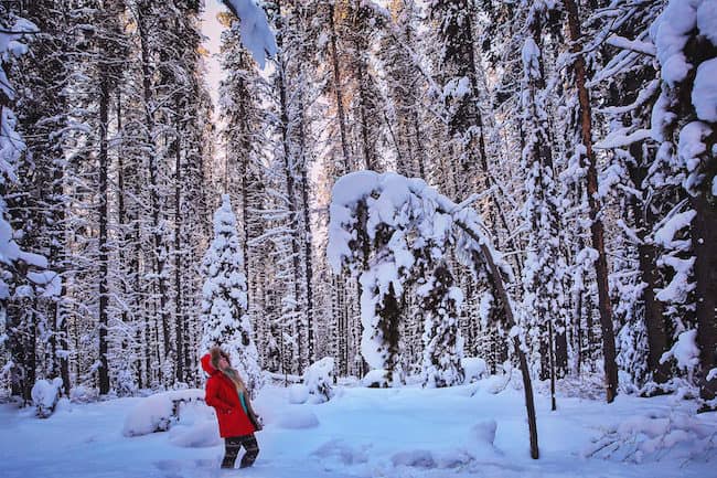 visit alberta canada
