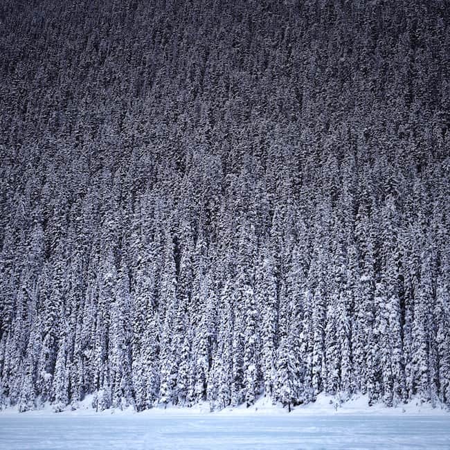 visit alberta canada