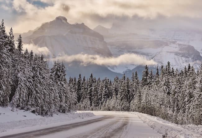 visit alberta canada