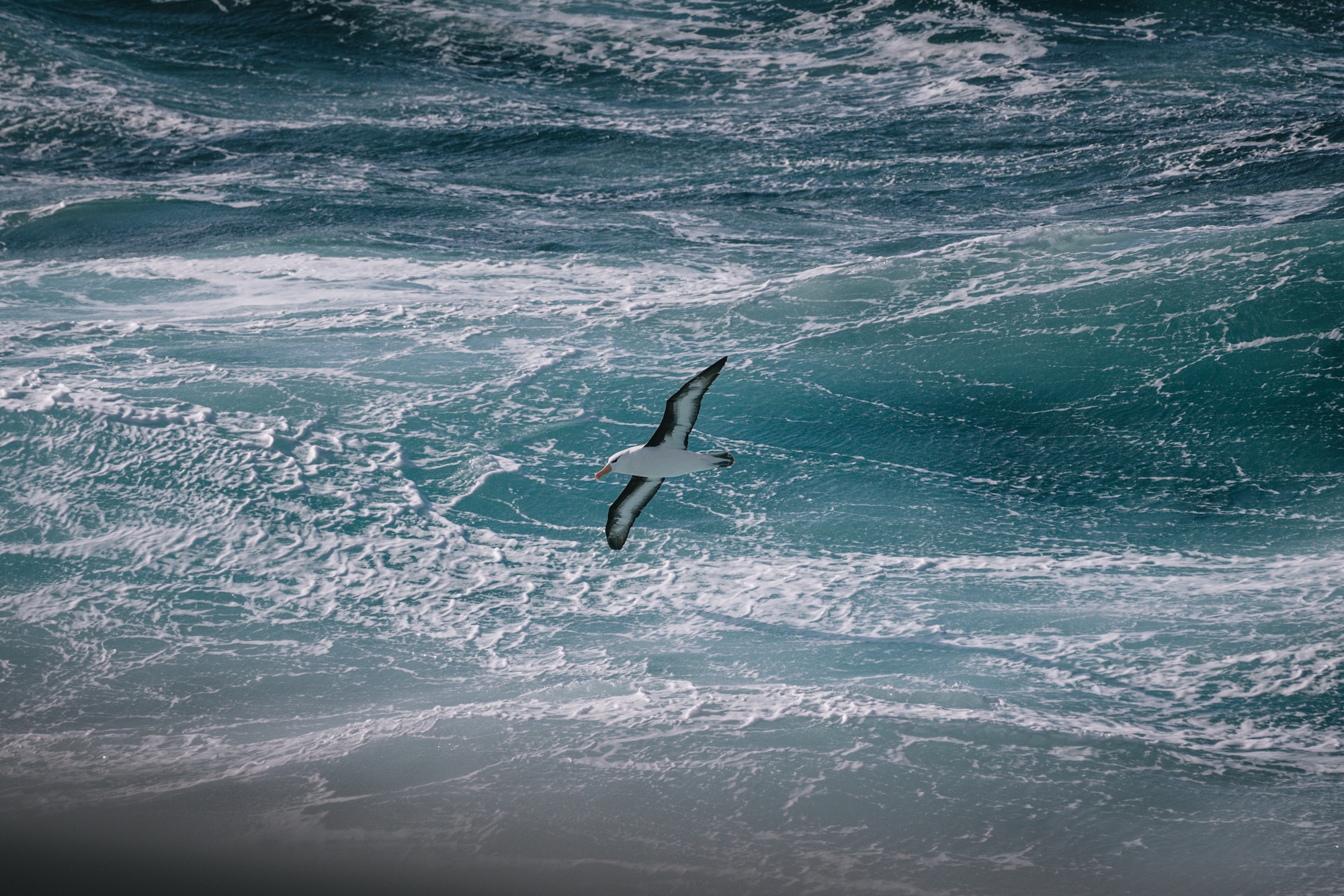 Antarctica is life-changing