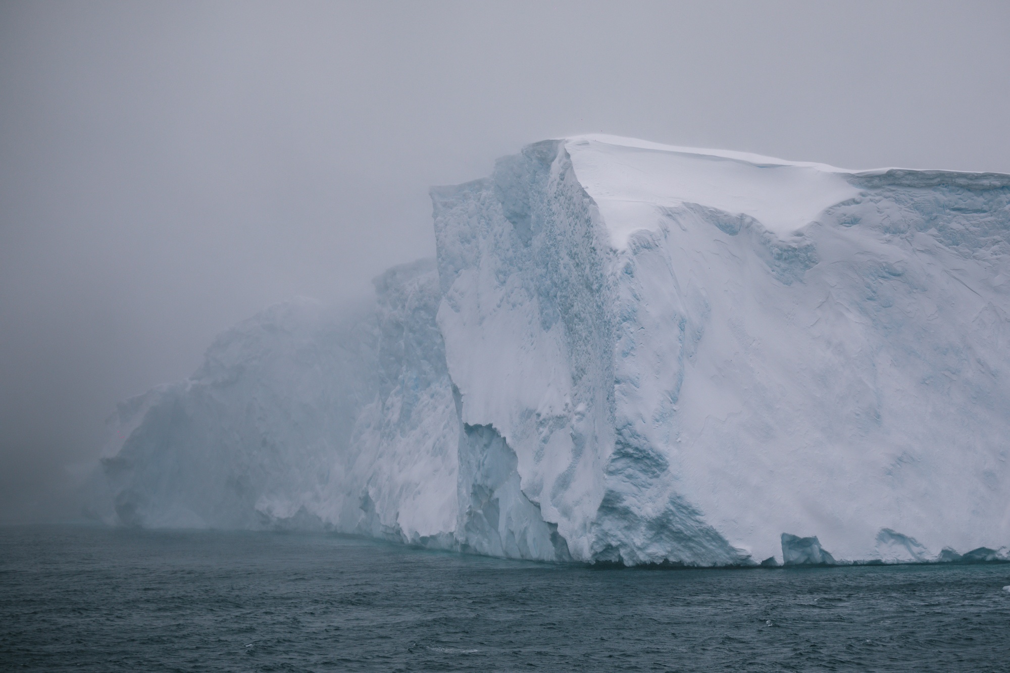 antarctica photos