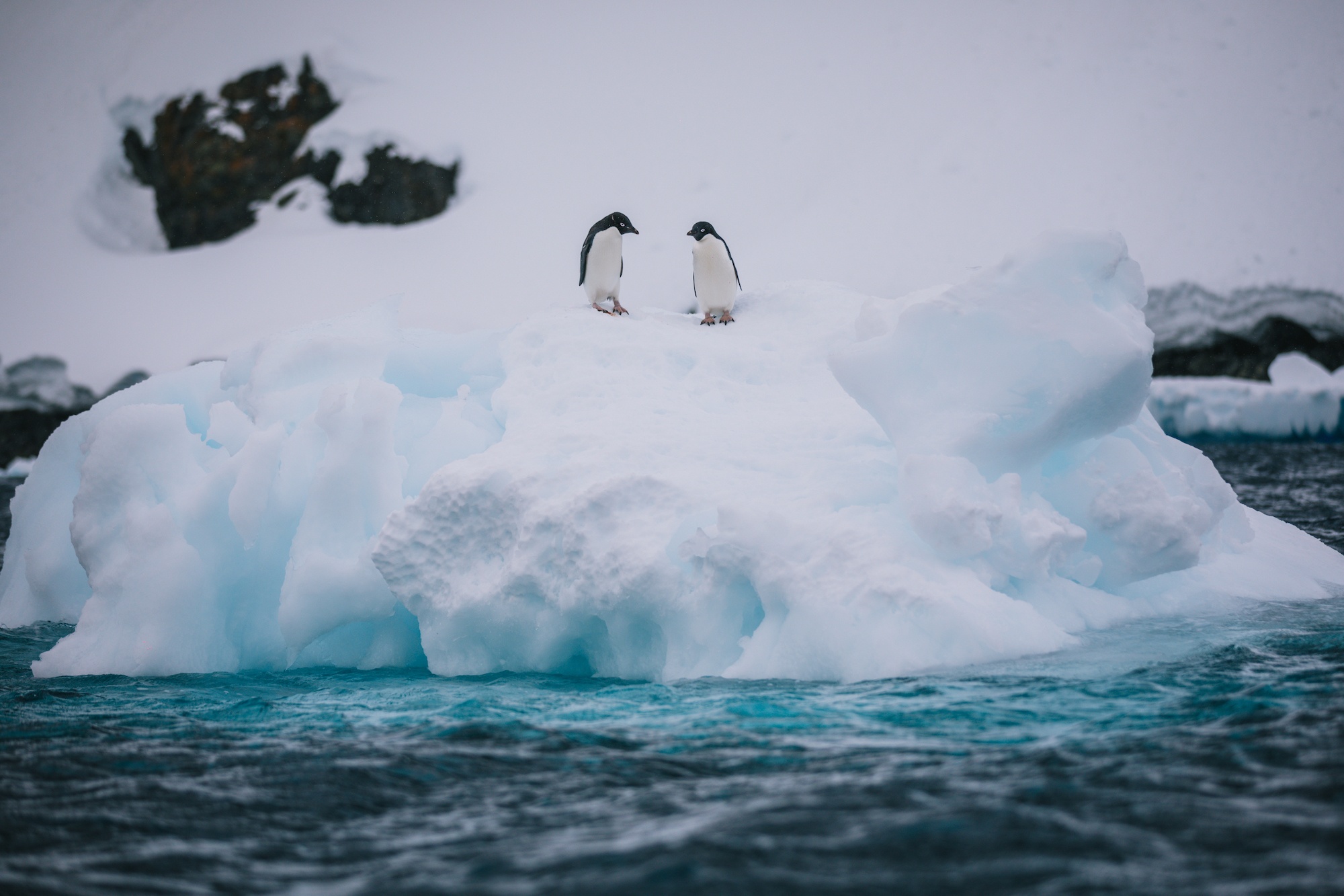 antarctica photos